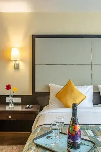 Дханбад: Sonotel Hotel