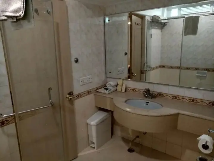 Бхопал: Hotel Amer Palace