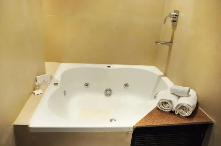 Колката: Senses Hotel