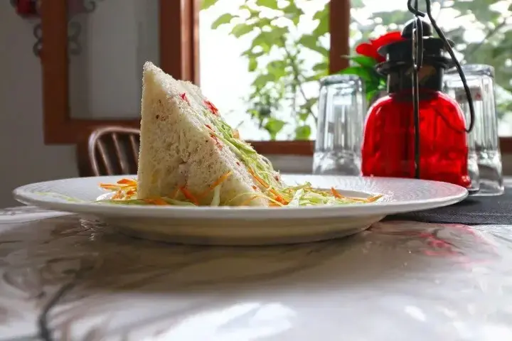 Манали: Hotel Ridge View