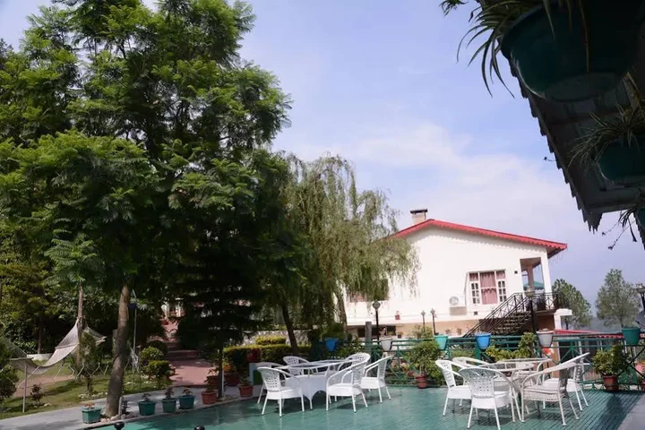 Куфри: Maple Resort Chail