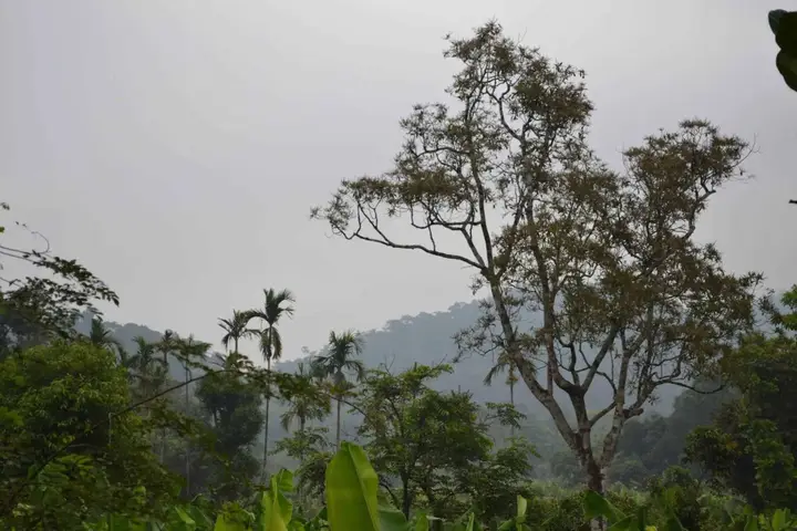 carousel image 4