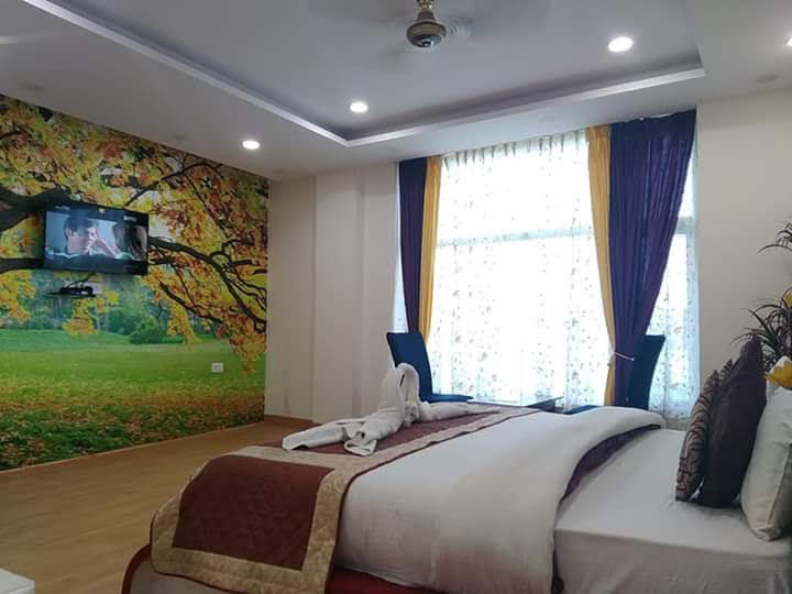 Нойда: Отель Green View Palace