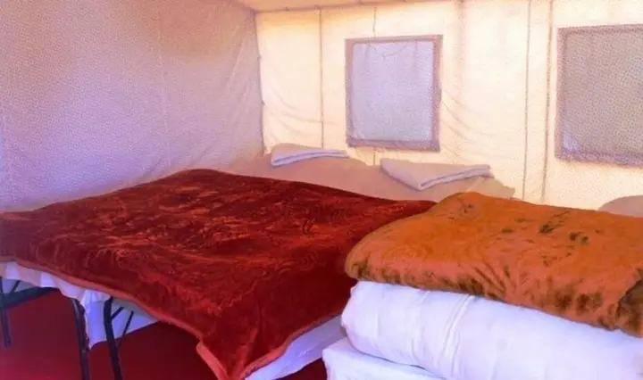Спангмик: Wonderland Camps