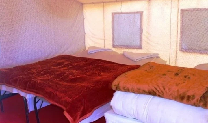Спангмик: Wonderland Camps