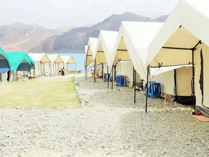 Спангмик: Wonderland Camps