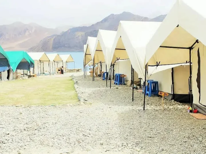 Спангмик: Wonderland Camps