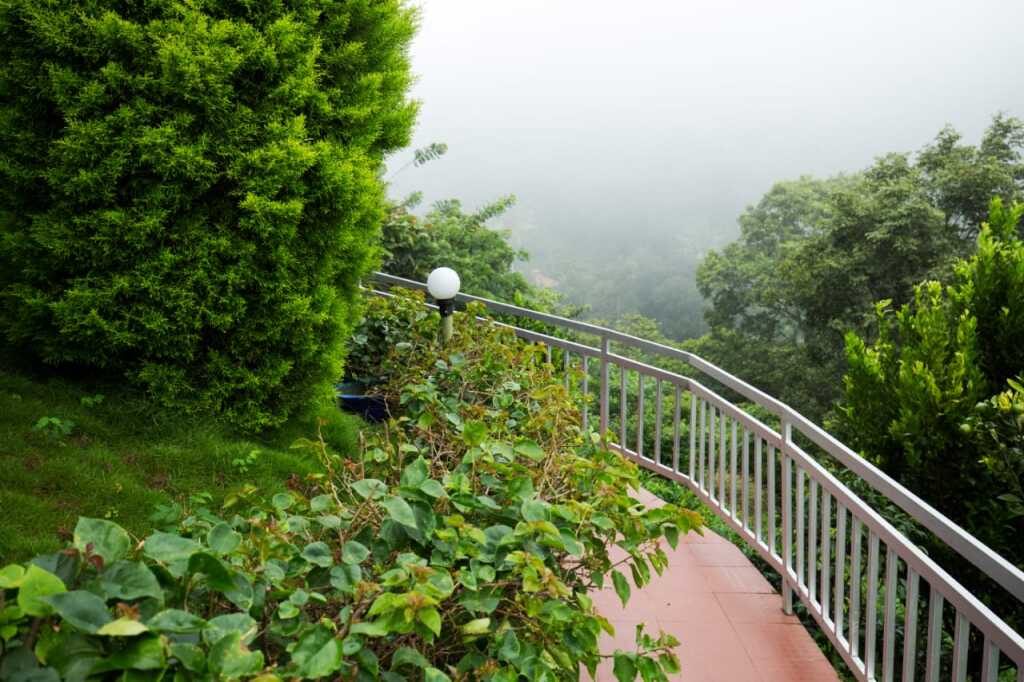 Муннар: Отель Camellia and Elettaria the Twin Resorts