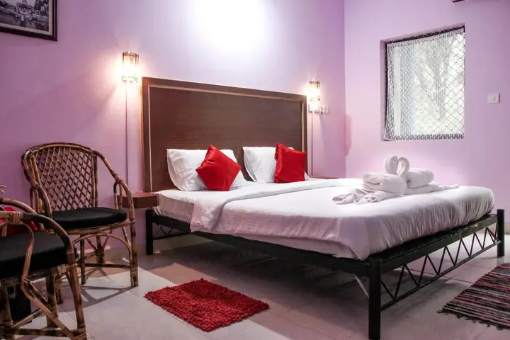 Agonda Palace Resort — фото 2