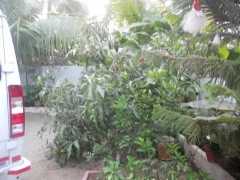 Коччи: Palakal Residency