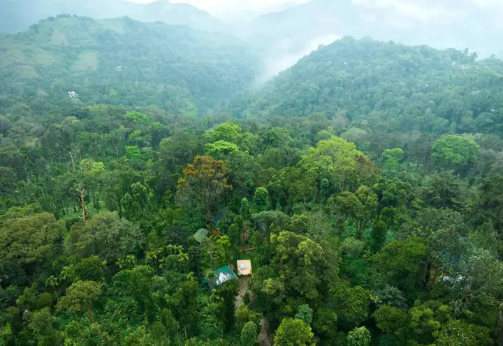 Blue Bells Valley Resort-Munnar. — фото 2