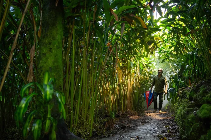 Муннар: Blue Bells Valley Resort-Munnar.