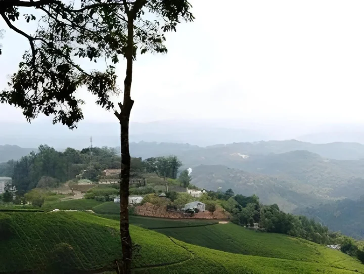 Муннар: Munnar Estate Residency