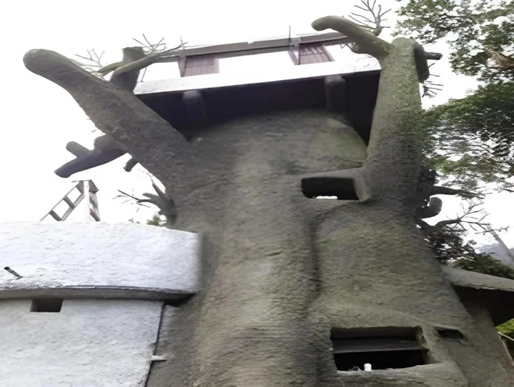 Муннар: Munnar Estate Residency