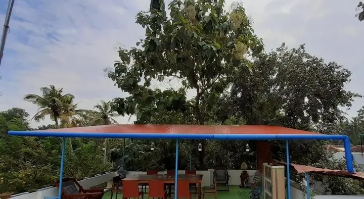 Варкала: Mango Villa