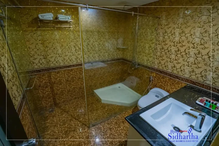 Chalakudy: Hotel Sidhartha