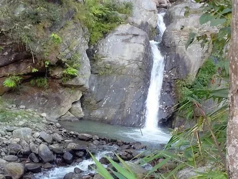 Пеллинг: Tathagata Farm