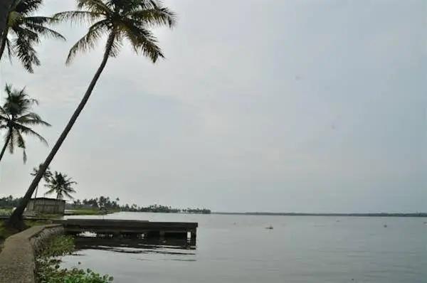 Narikulam Tharavad — фото 5