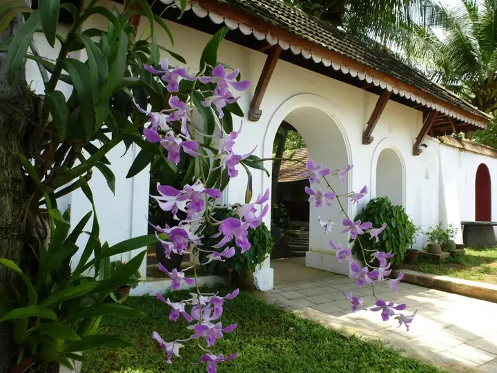 Коччи: Fort House