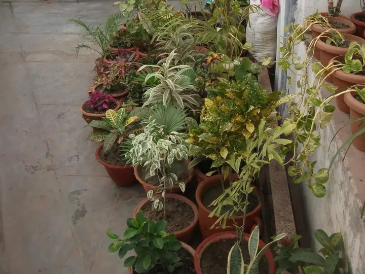Hotel Shanti Palace — фото 4