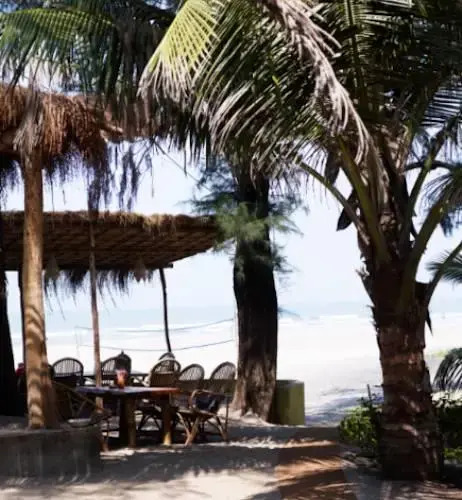 Little Palm Grove — фото 4