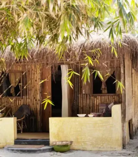 Little Palm Grove — фото 2