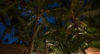 Морджим: Dead End Resort