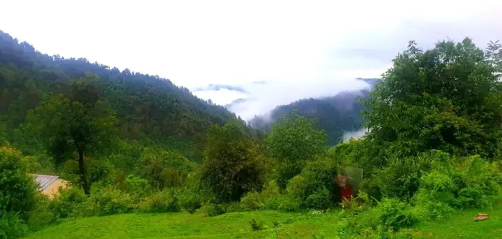 Country Holidays Himalayan View Cottages Mukteshwar — фото 3