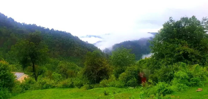 Наинитал: Country Holidays Himalayan View Cottages Mukteshwar
