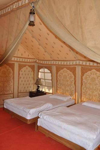 Фалоди: Kurja Camp