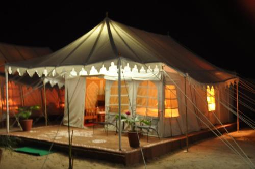 Фалоди: Kurja Camp