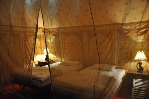 Фалоди: Kurja Camp
