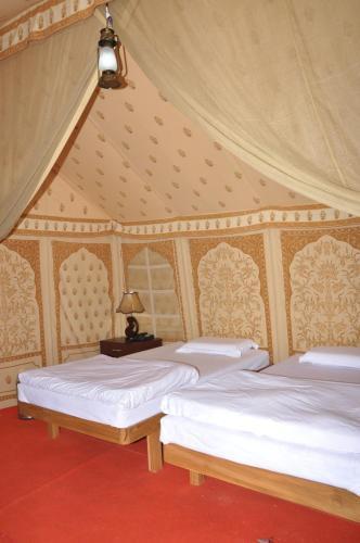 Фалоди: Kurja Camp