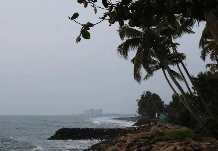 Коччи: Sea Hut Homestay