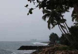 Коччи: Sea Hut Homestay
