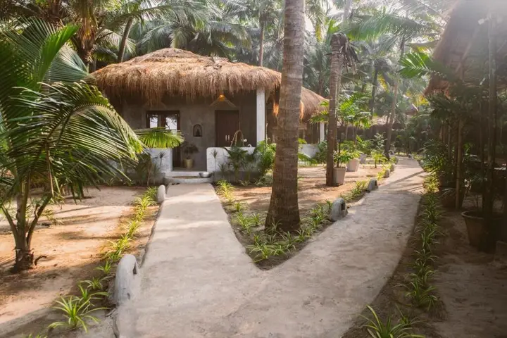 Palm Grove Beach Resort — фото 2