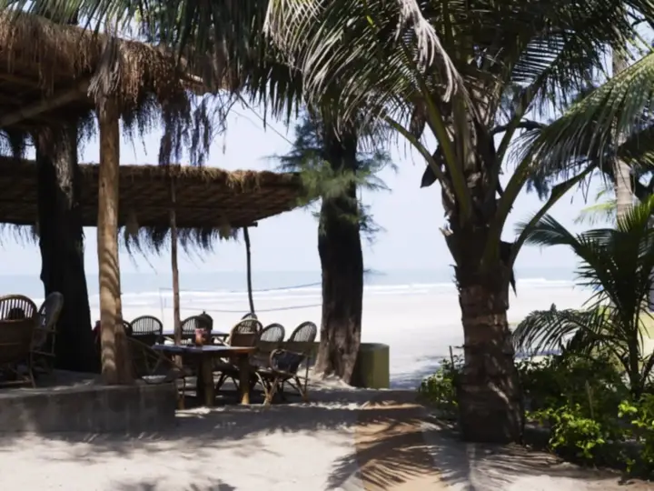 Palm Grove Beach Resort — фото 5