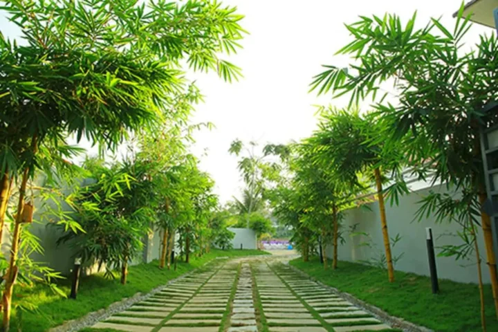 Коллам: Global Backwater Resort