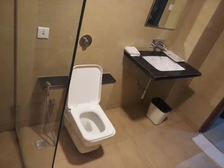 Джодхпур: Hotel Apex International