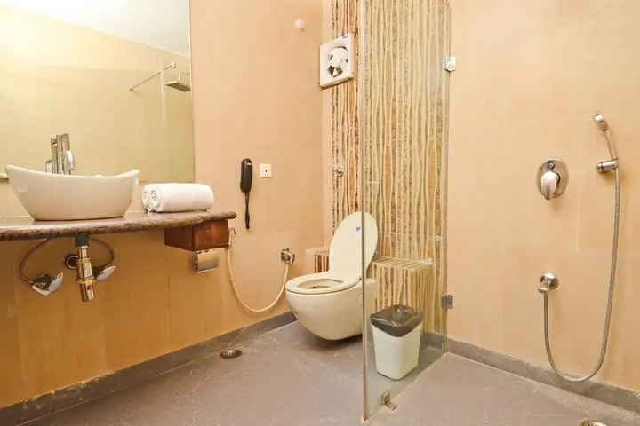 Джодхпур: Hotel Apex International