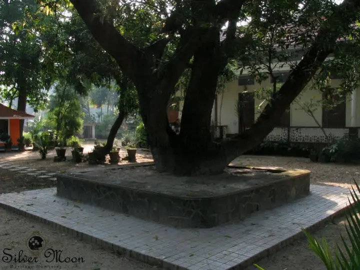 Коччи: Silvermoon Heritage Homestay