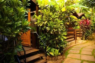 Бенаулим: Pele's Windsong Wood Cottage on the beach