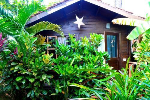 Pele's Windsong Wood Cottage on the beach — фото 4