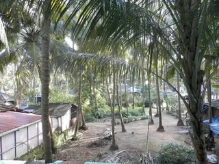 Южный Гоа: Sun N Moon Guest House