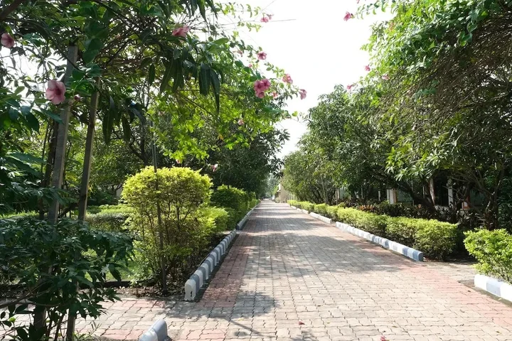 Сазан: Sukh Sagar Gir Resort