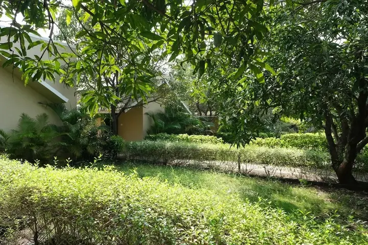 Сазан: Sukh Sagar Gir Resort