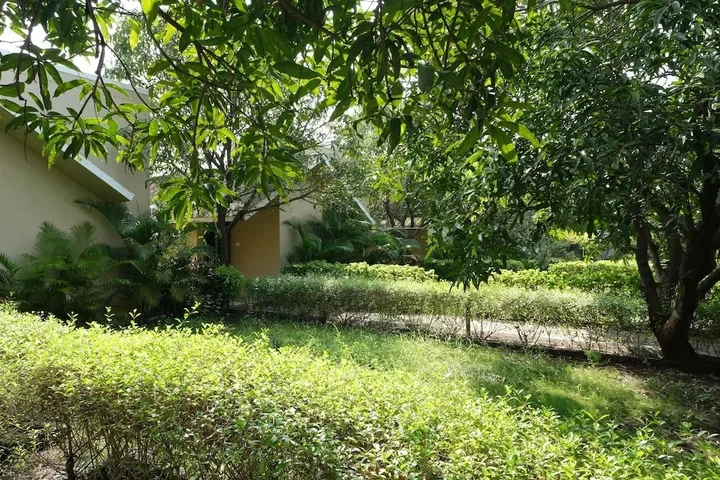 Сазан: Sukh Sagar Gir Resort