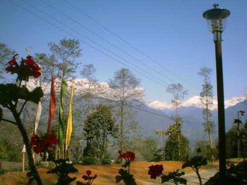 Пеллинг: Himalayan Retreat & Resort