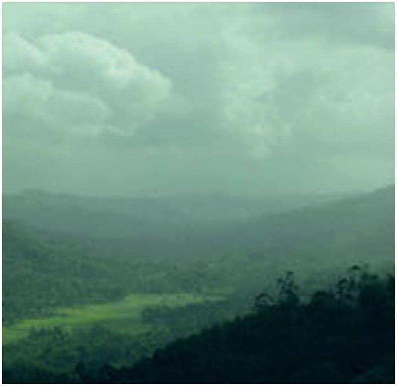 Муннар: Spicetree Munnar