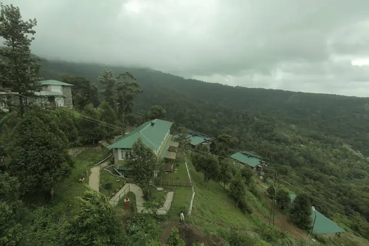 Муннар: Spicetree Munnar